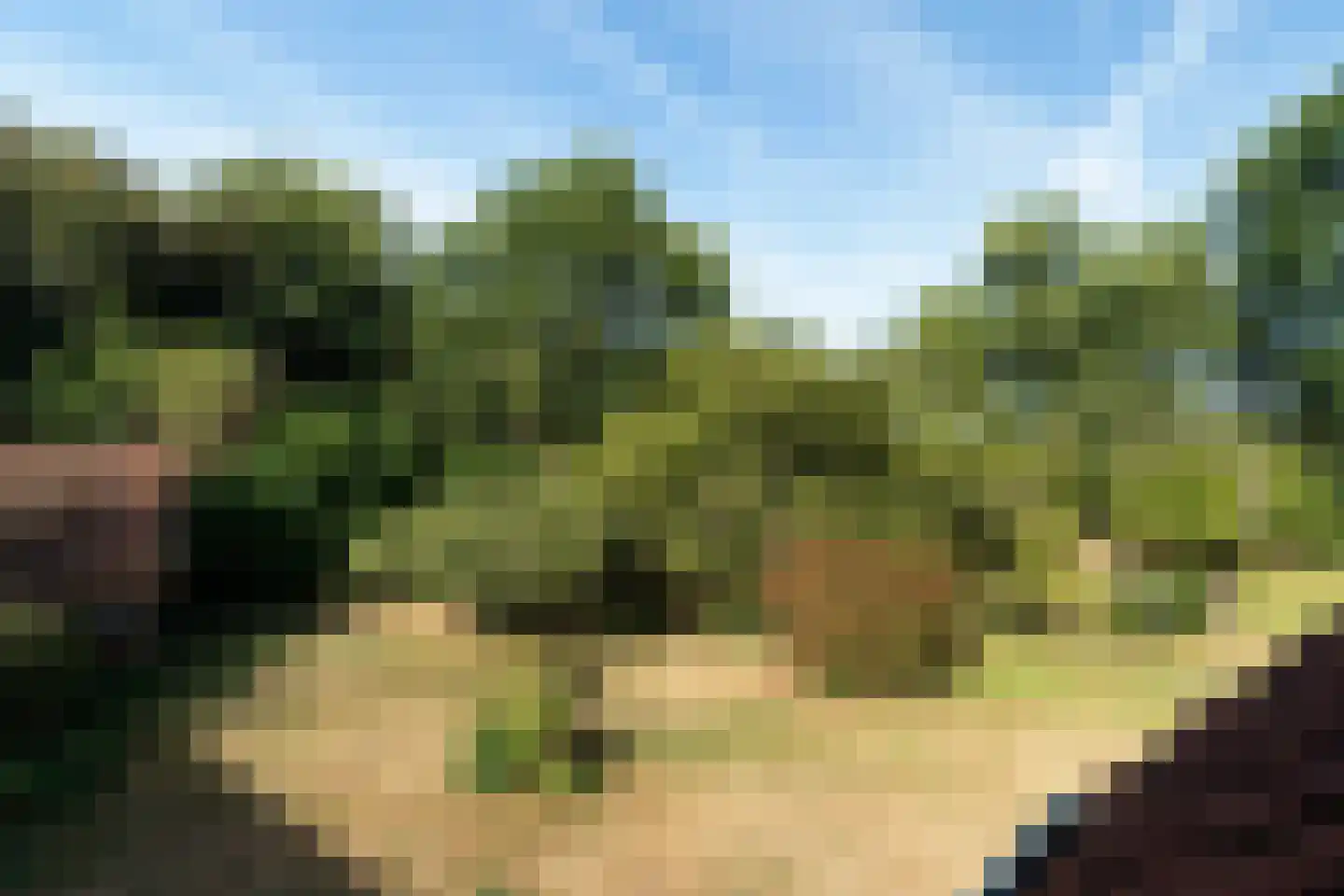 Laantje van Van Wissen 6 Voorschoten thumbnail 36