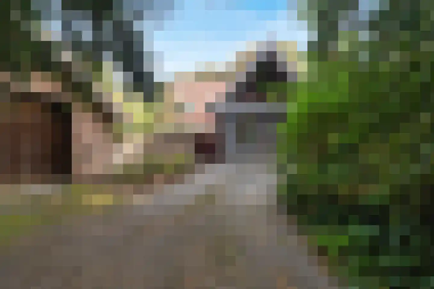 Laantje van Van Wissen 6 Voorschoten thumbnail 37