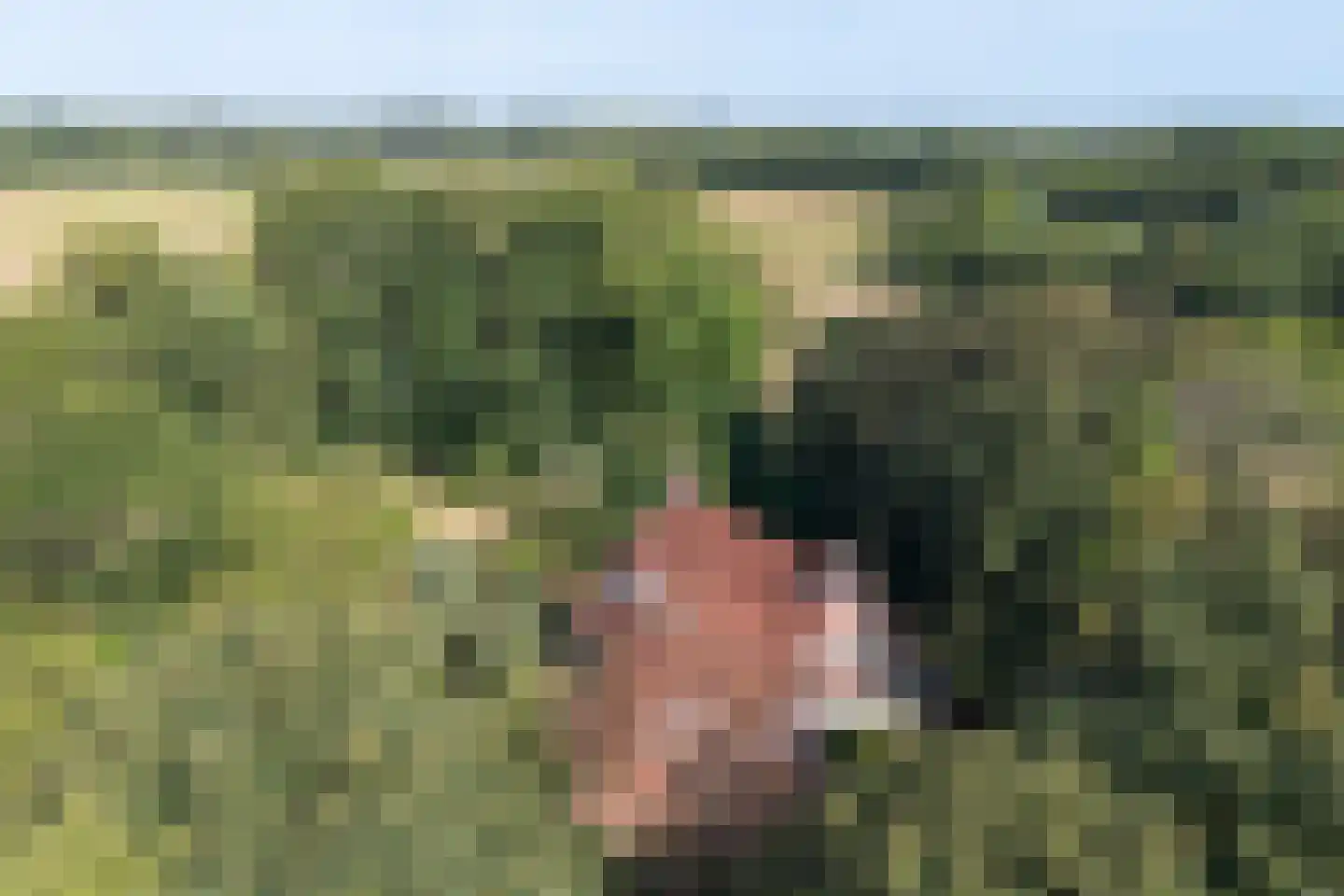 Laantje van Van Wissen 6 Voorschoten thumbnail 38