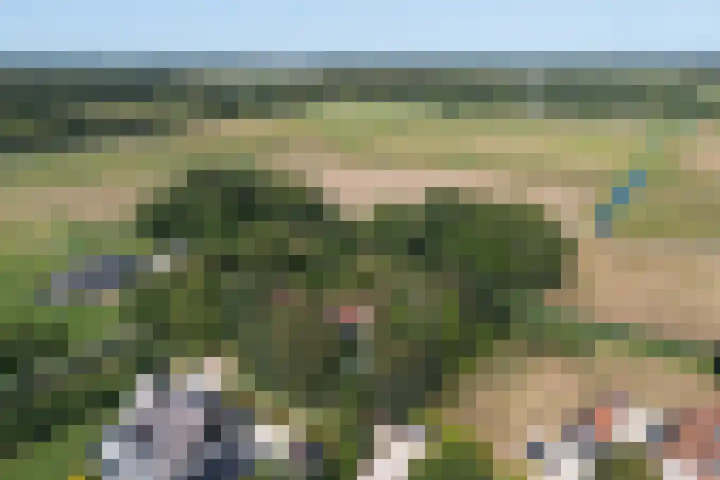 Laantje van Van Wissen 6 Voorschoten thumbnail 41