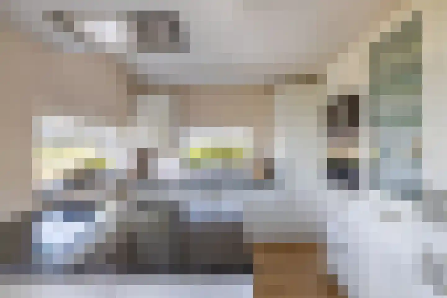 Laantje van Vos 12 Blaricum thumbnail 10