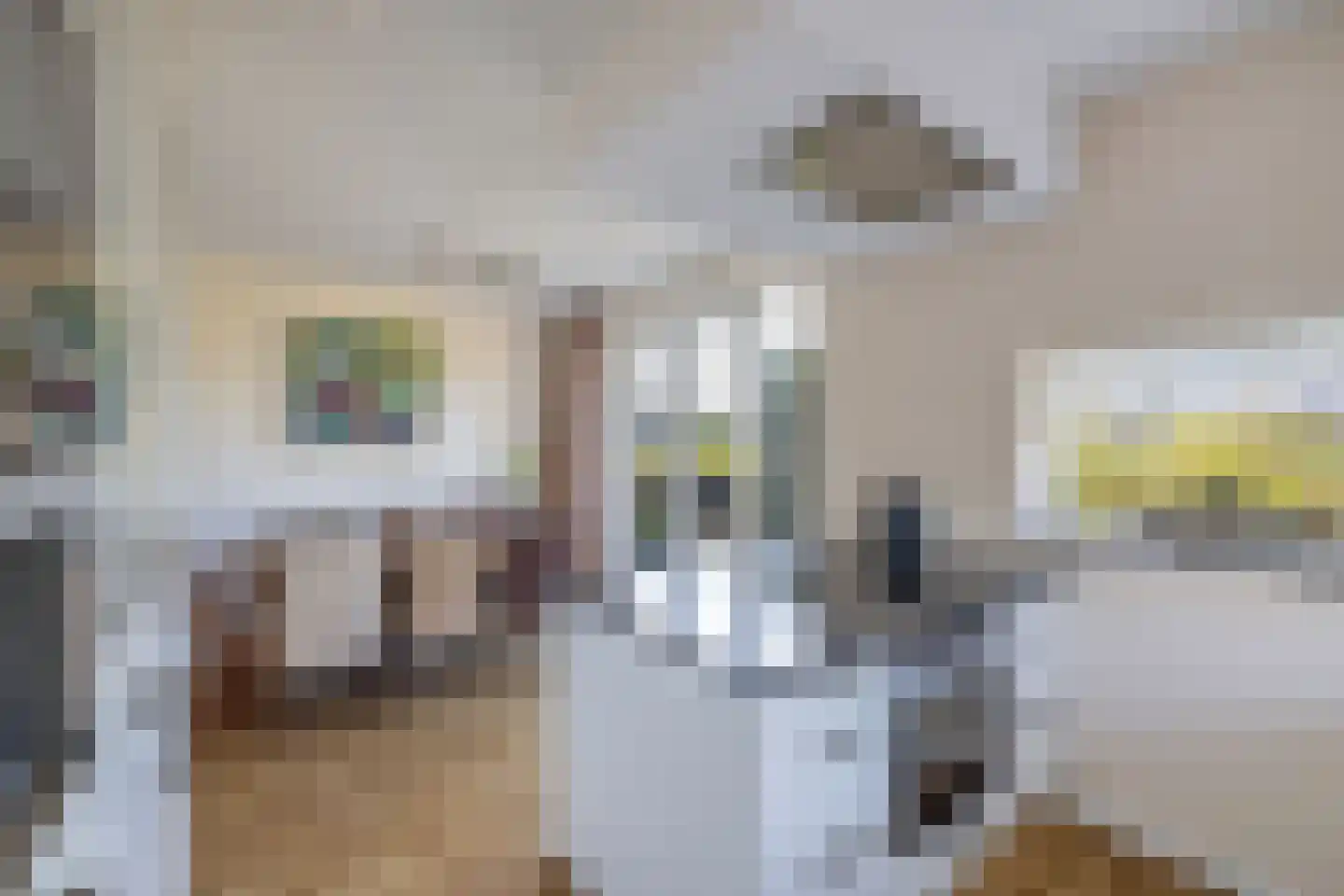Laantje van Vos 12 Blaricum thumbnail 11