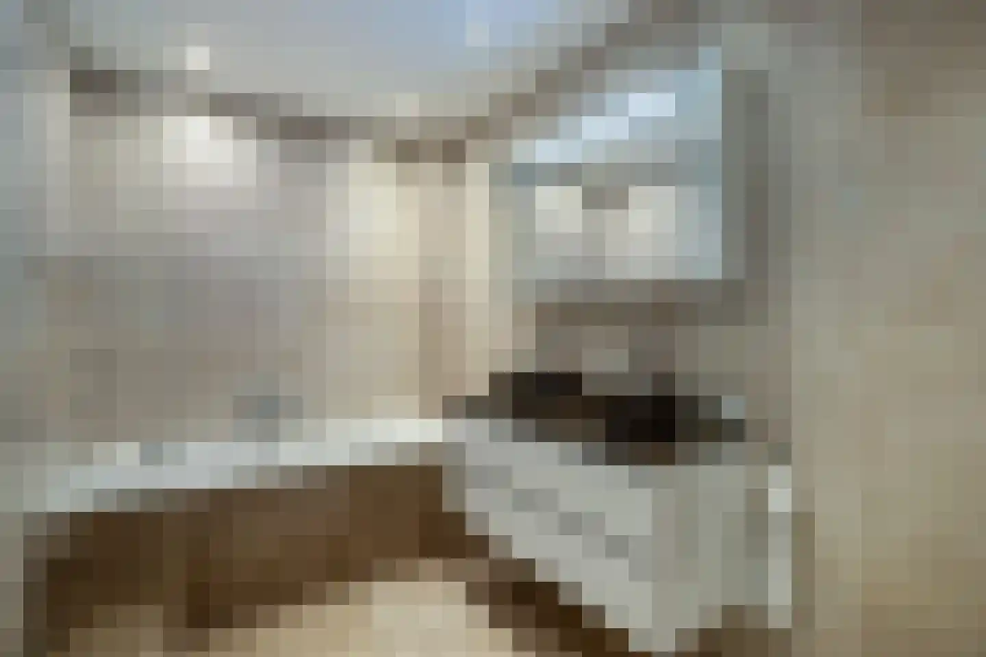 Laantje van Vos 12 Blaricum thumbnail 19