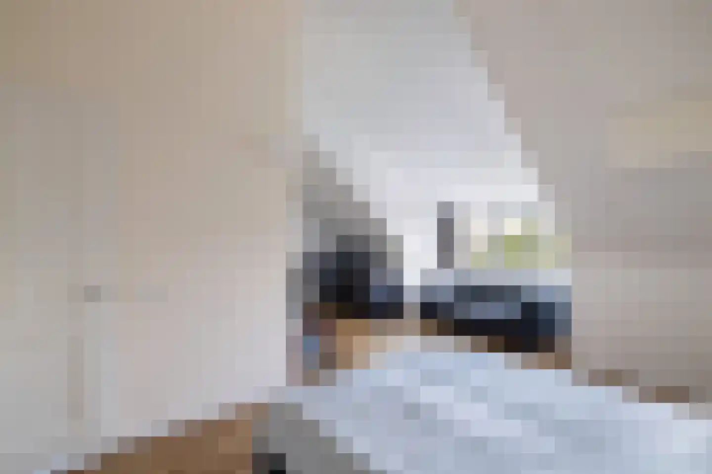 Laantje van Vos 12 Blaricum thumbnail 22