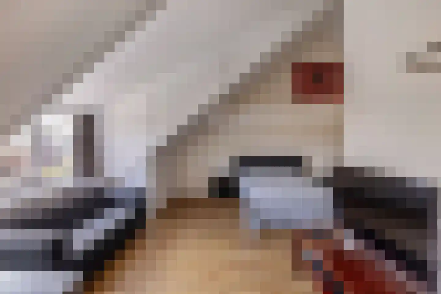 Laantje van Vos 12 Blaricum thumbnail 23