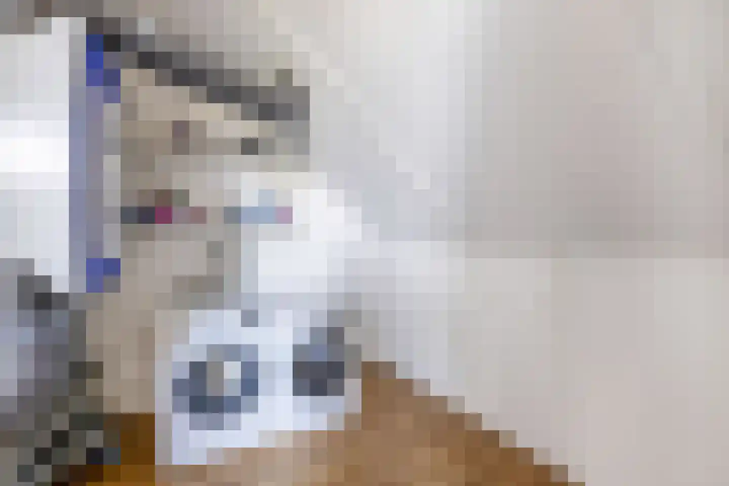 Laantje van Vos 12 Blaricum thumbnail 24