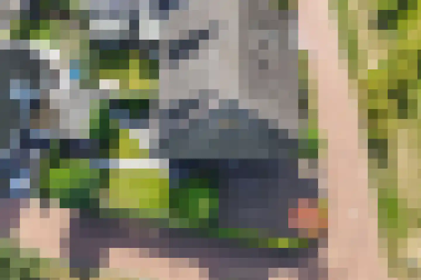 Laantje van Vos 12 Blaricum thumbnail 34