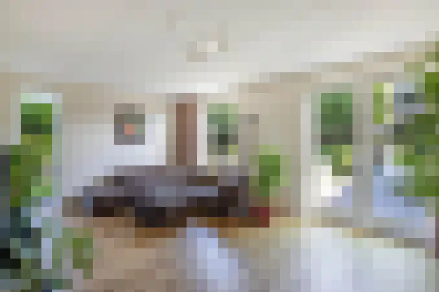 Laantje van Vos 12 Blaricum thumbnail 7