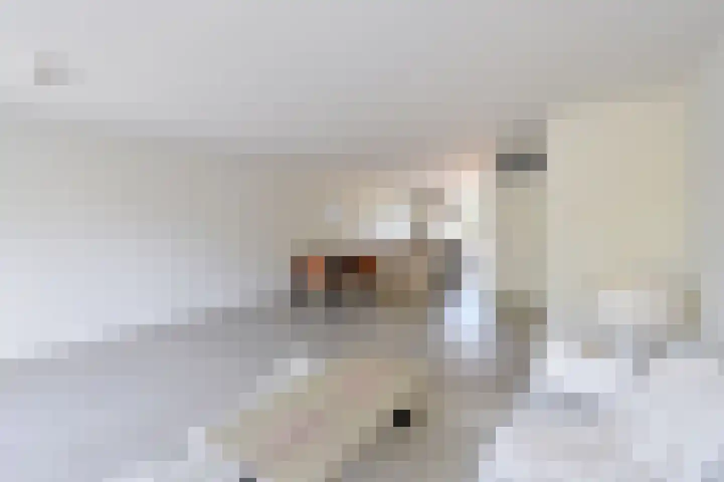 Laantje van Vos 5 Blaricum thumbnail 5