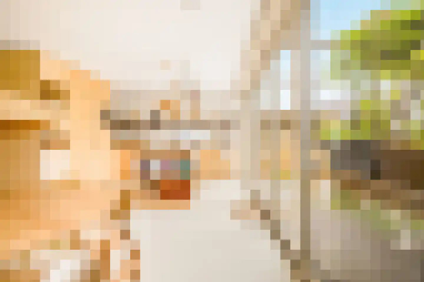 Laantje van Vredebest 32 Rotterdam thumbnail 13