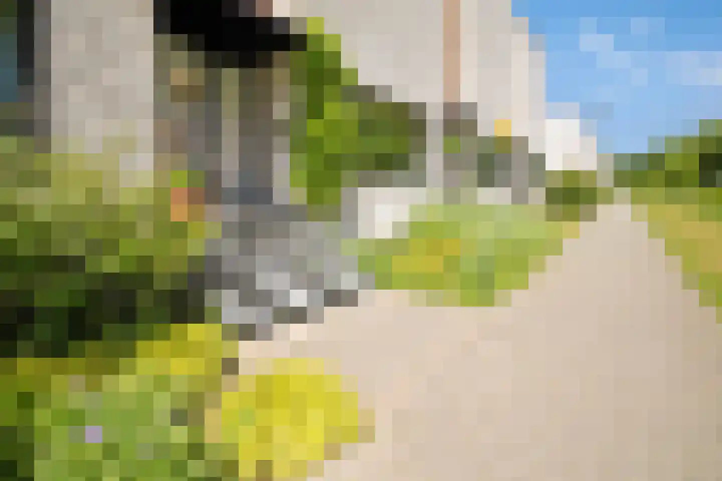Laantje van Vredebest 32 Rotterdam thumbnail 5