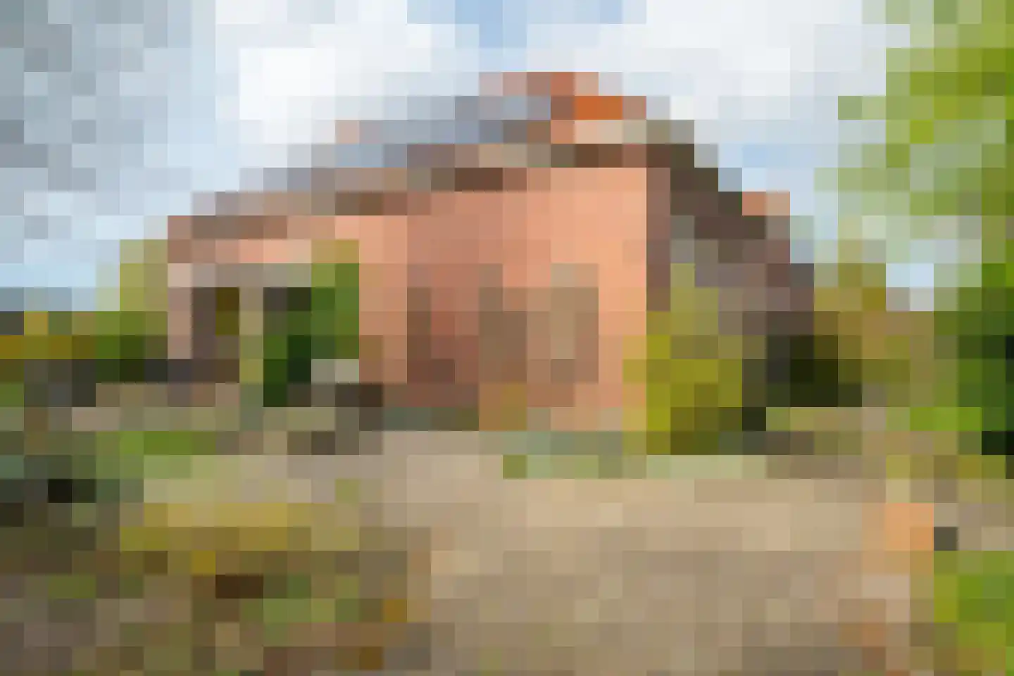 Laanweg 1 Roodeschool thumbnail 14