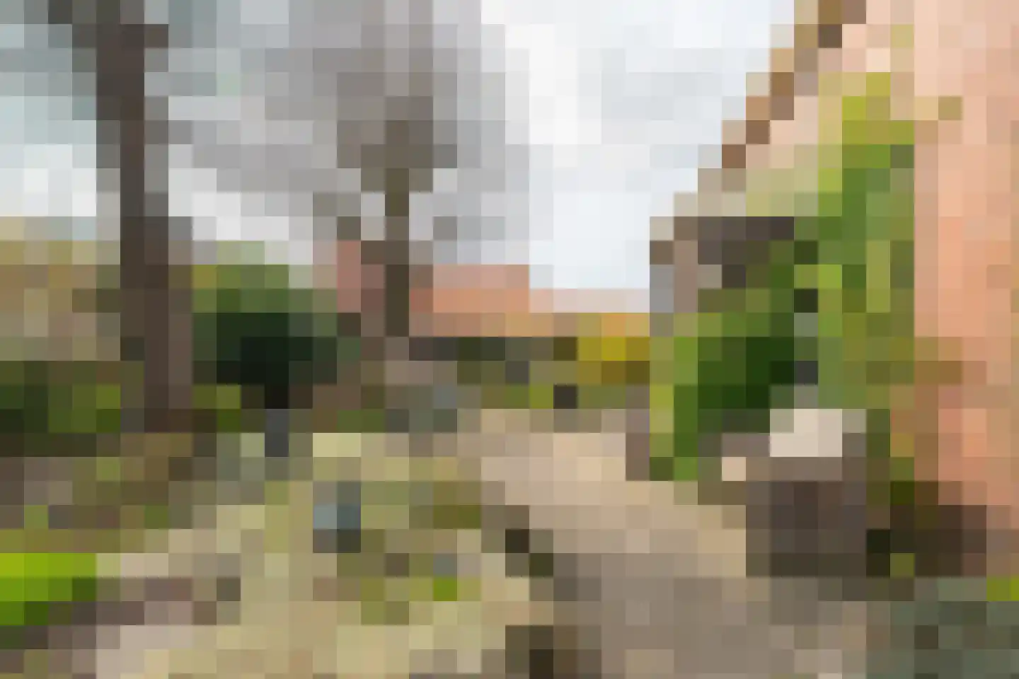 Laanweg 1 Roodeschool thumbnail 16