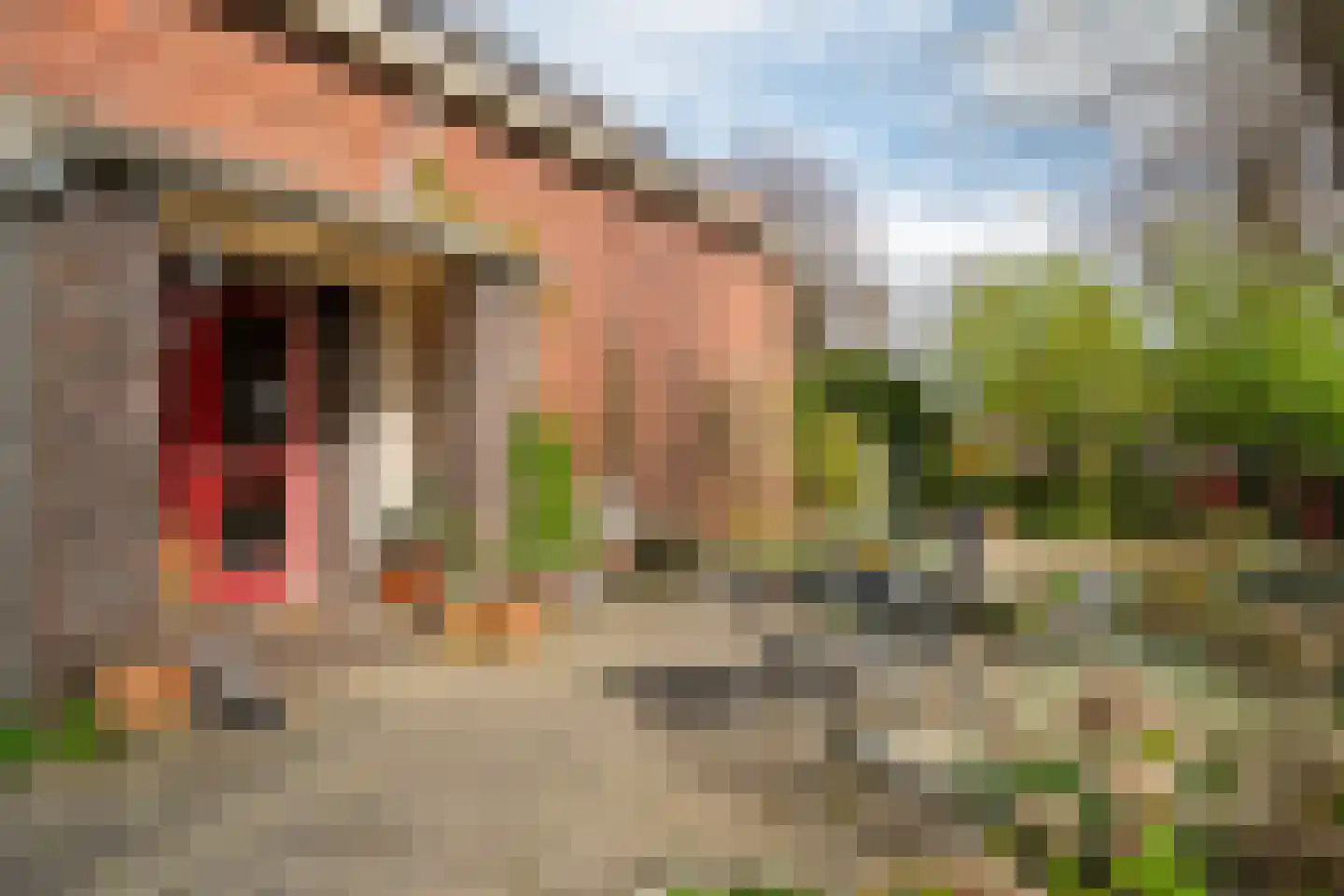 Laanweg 1 Roodeschool thumbnail 17