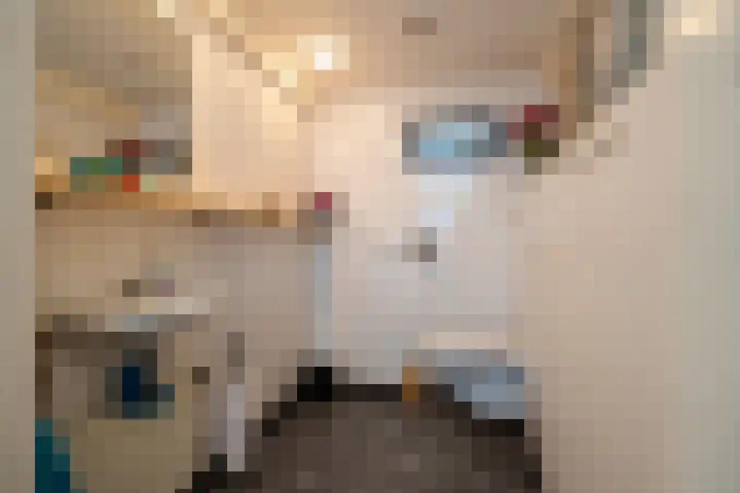 Laanweg 1 Roodeschool thumbnail 30