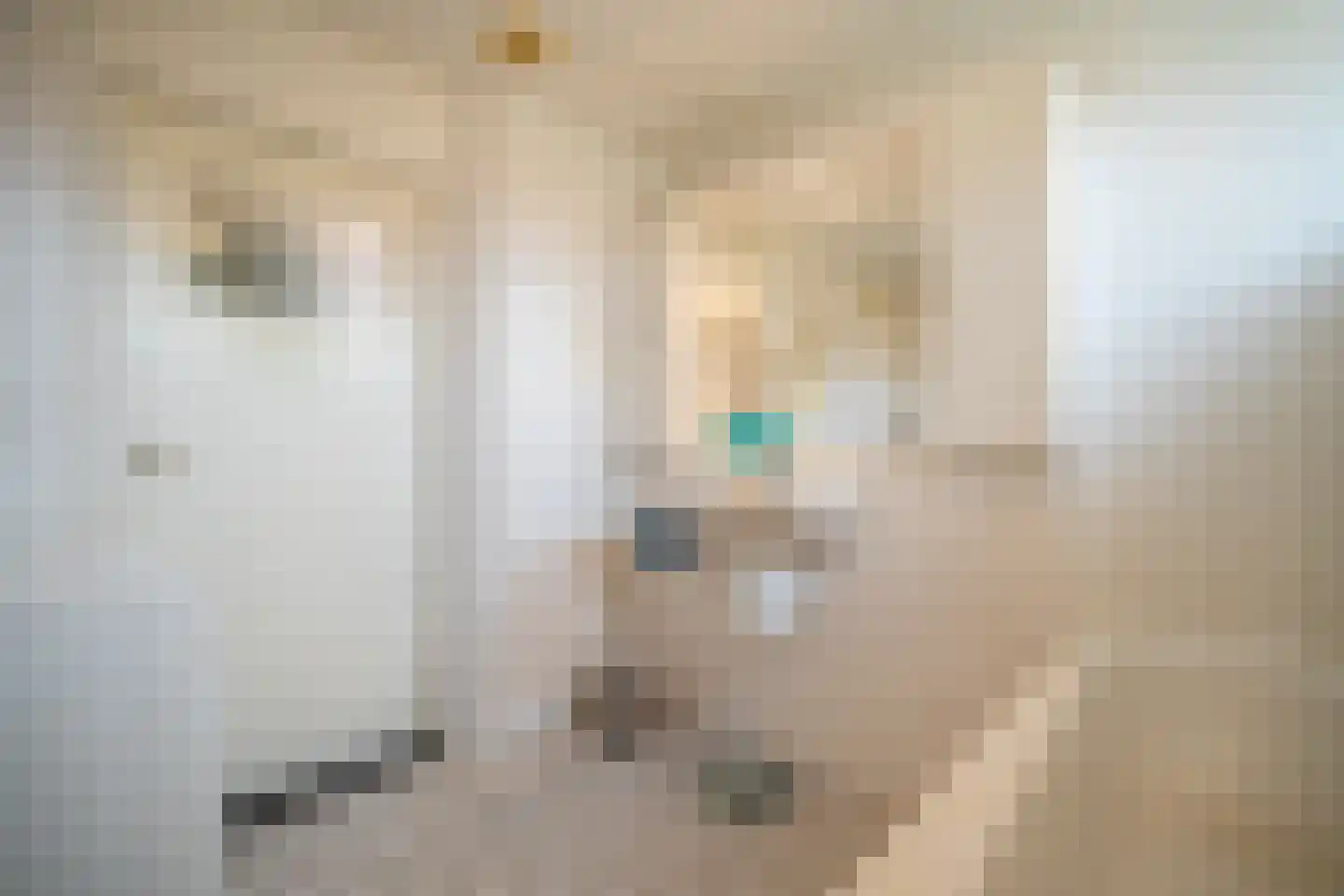 Laanweg 1 Roodeschool thumbnail 35