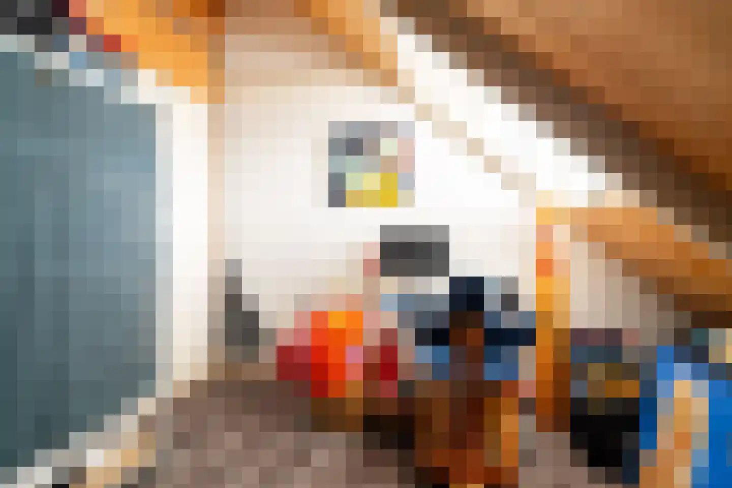 Laanweg 1 Roodeschool thumbnail 58
