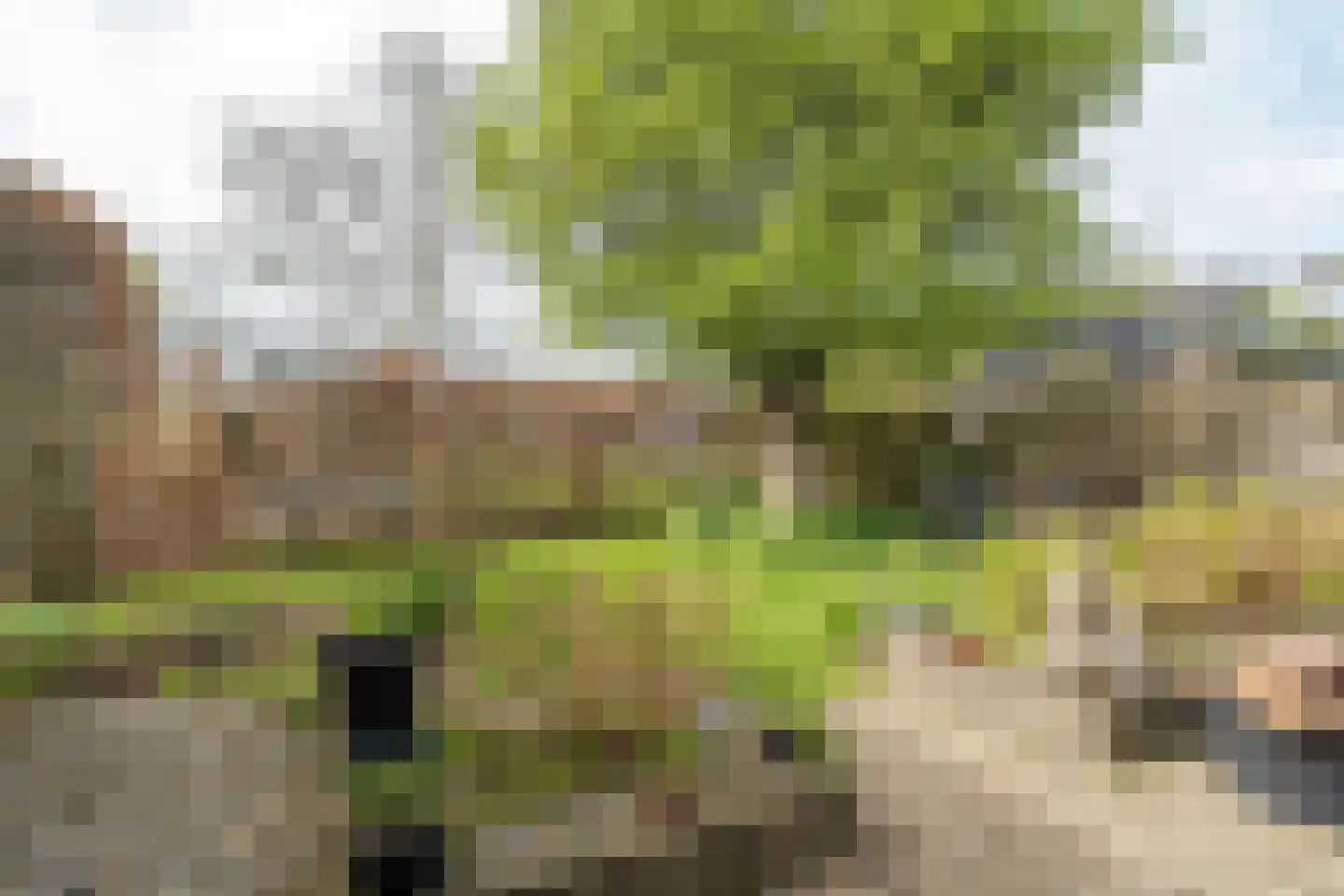 Laanweg 1 Roodeschool thumbnail 6