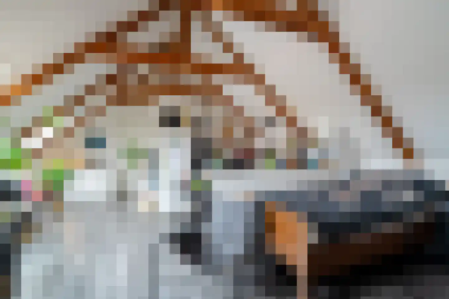 Laanweg 1 Roodeschool thumbnail 60