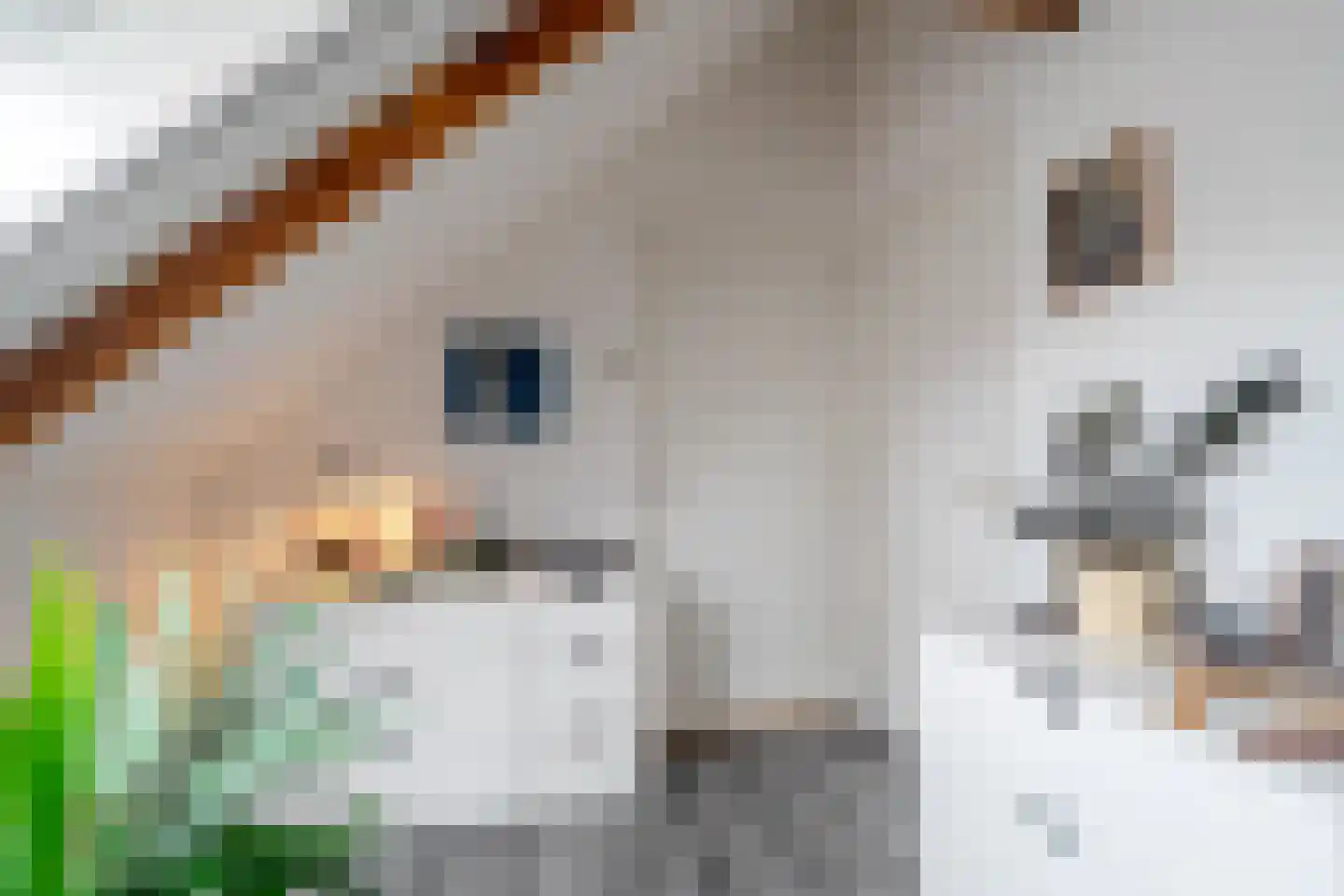 Laanweg 1 Roodeschool thumbnail 61