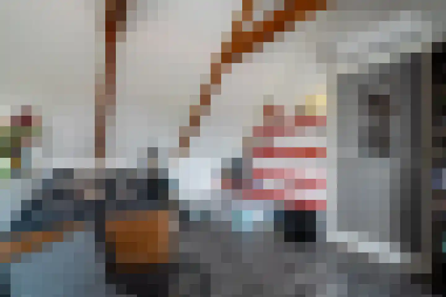 Laanweg 1 Roodeschool thumbnail 64