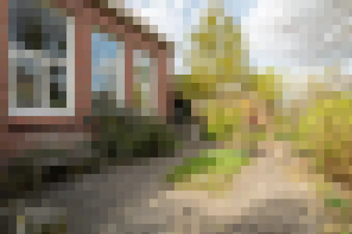 Laanweg 1 Roodeschool thumbnail 67