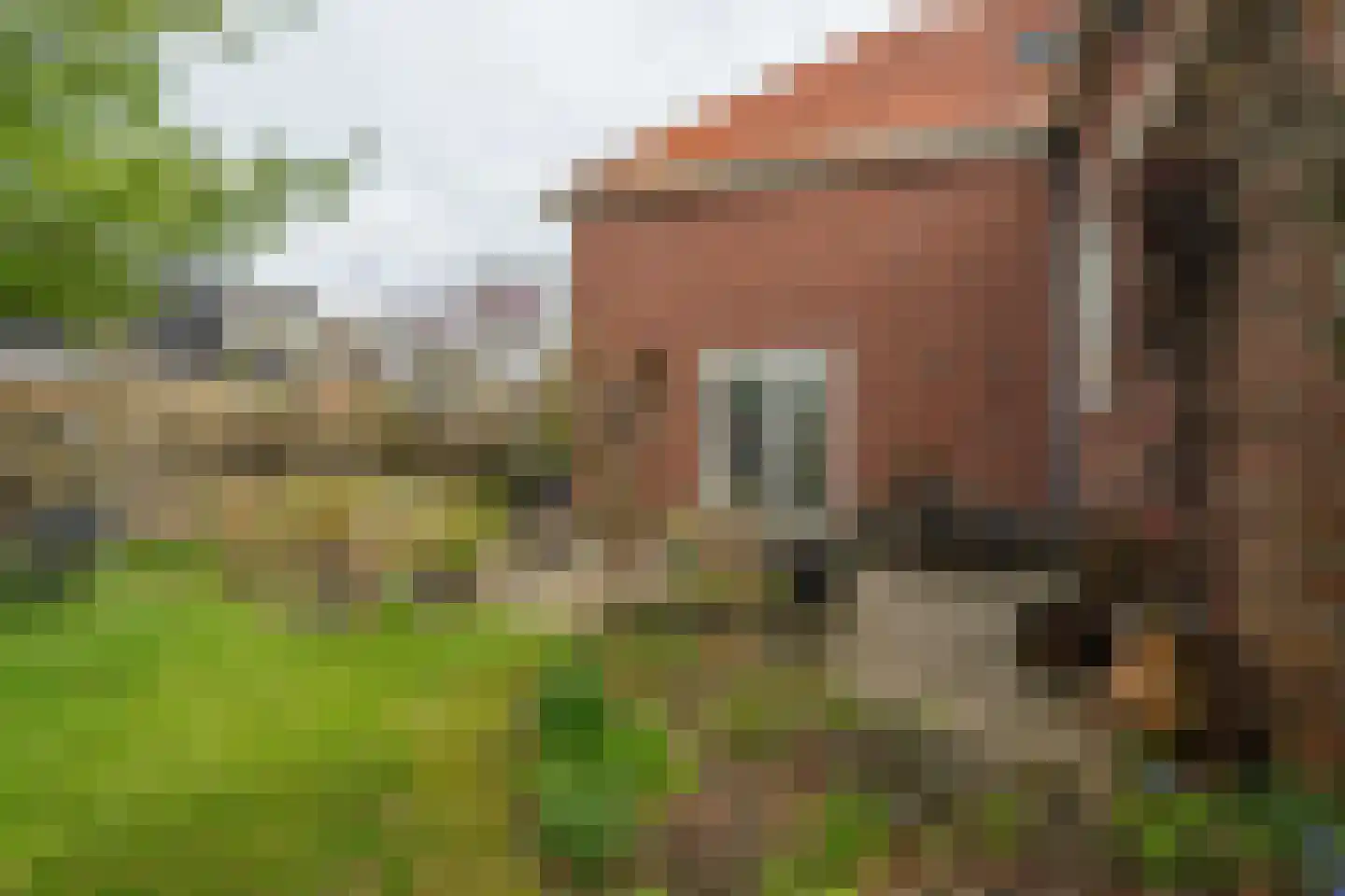 Laanweg 1 Roodeschool thumbnail 68