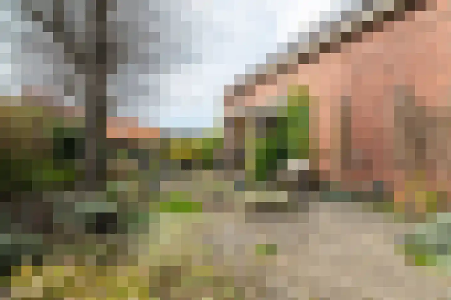 Laanweg 1 Roodeschool thumbnail 73