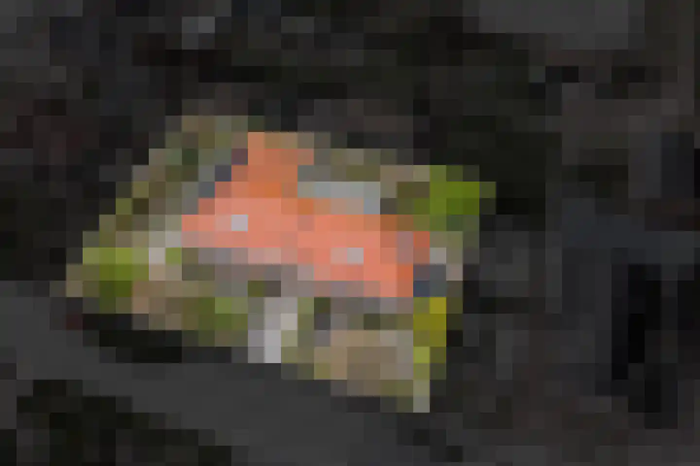 Laanweg 1 Roodeschool thumbnail 78