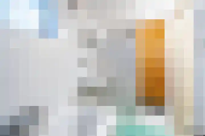 Laanweg 13 Oudkarspel thumbnail 22