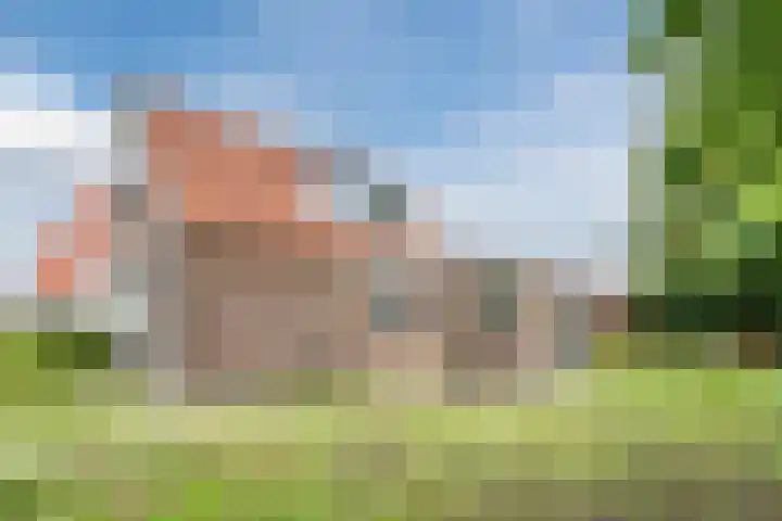 Laanweg 13 Oudkarspel thumbnail 38