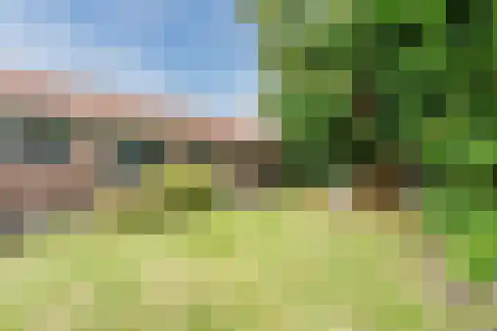 Laanweg 13 Oudkarspel thumbnail 4