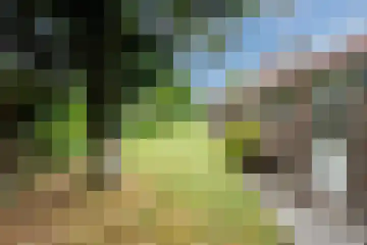 Laanweg 13 Oudkarspel thumbnail 40