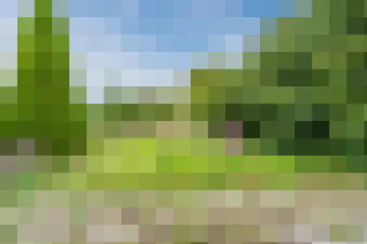 Laanweg 13 Oudkarspel thumbnail 43