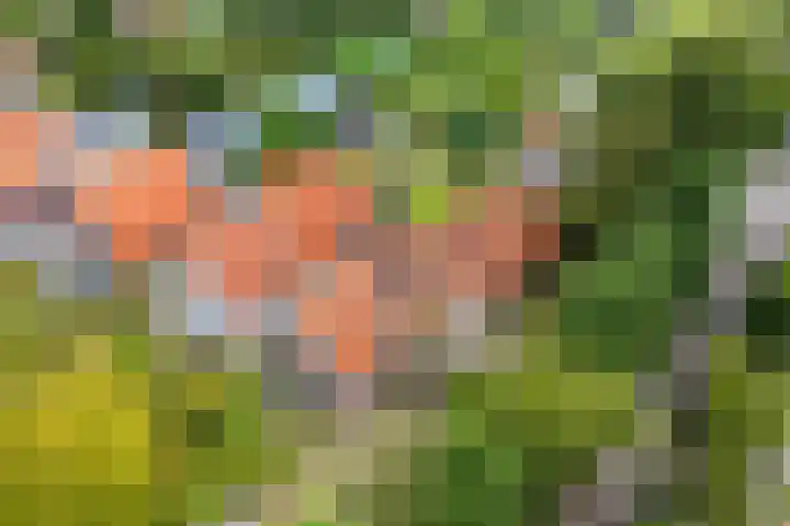 Laanweg 13 Oudkarspel thumbnail 46