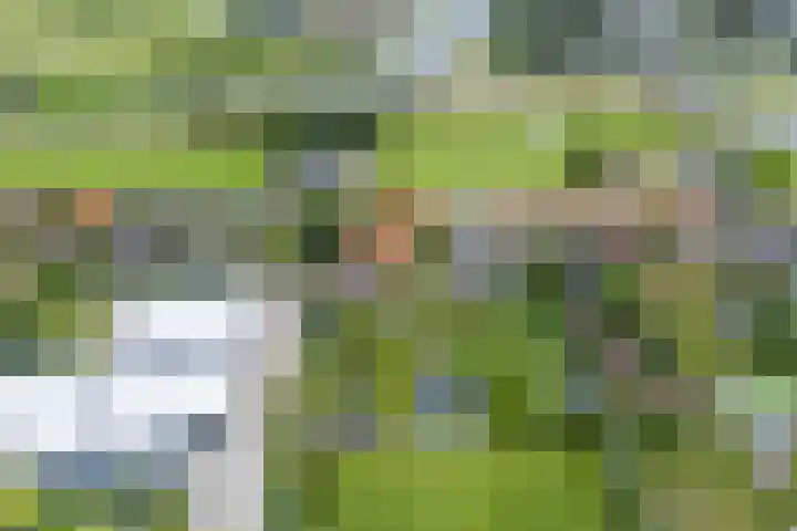Laanweg 13 Oudkarspel thumbnail 47