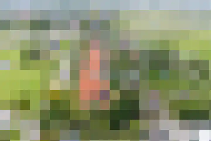 Laanweg 13 Oudkarspel thumbnail 48