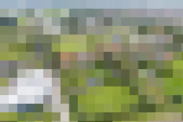 Laanweg 13 Oudkarspel thumbnail 49