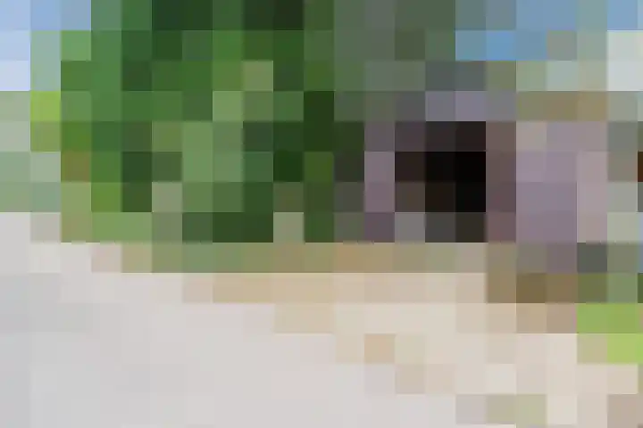 Laanweg 13 Oudkarspel thumbnail 5