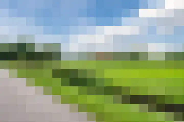 Laanweg 13 Oudkarspel thumbnail 50