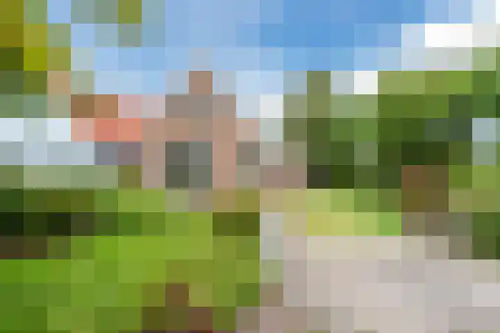 Laanweg 13 Oudkarspel thumbnail 52