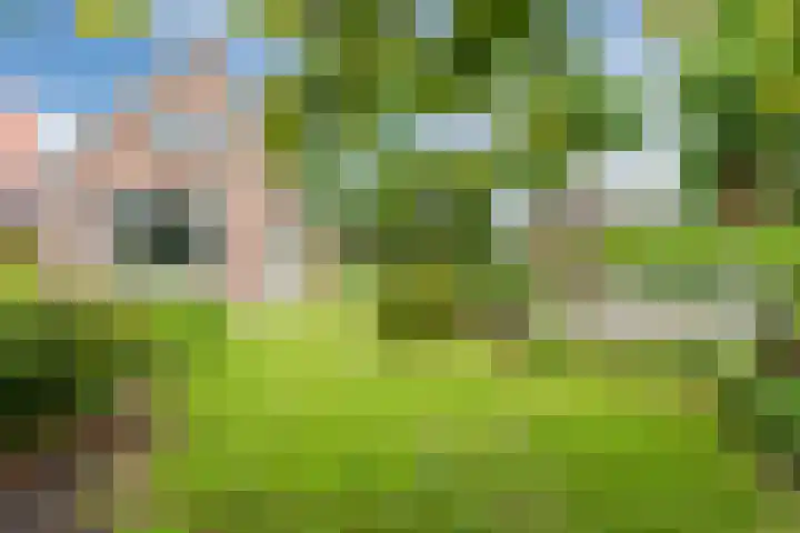 Laanweg 13 Oudkarspel thumbnail 55