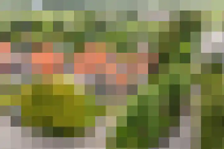 Laanweg 13 Oudkarspel thumbnail 56