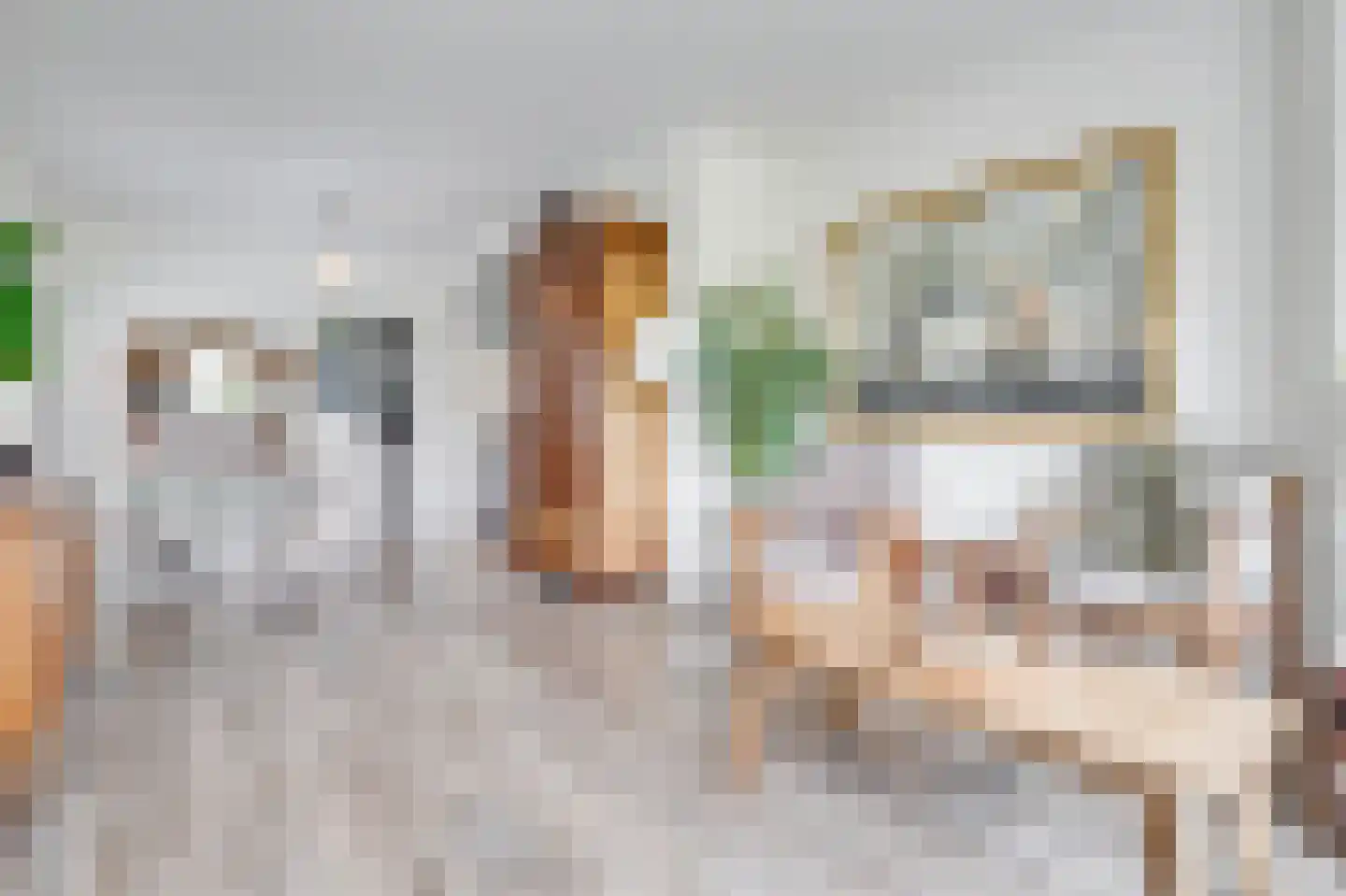 Laanweg 17 Oudkarspel thumbnail 18