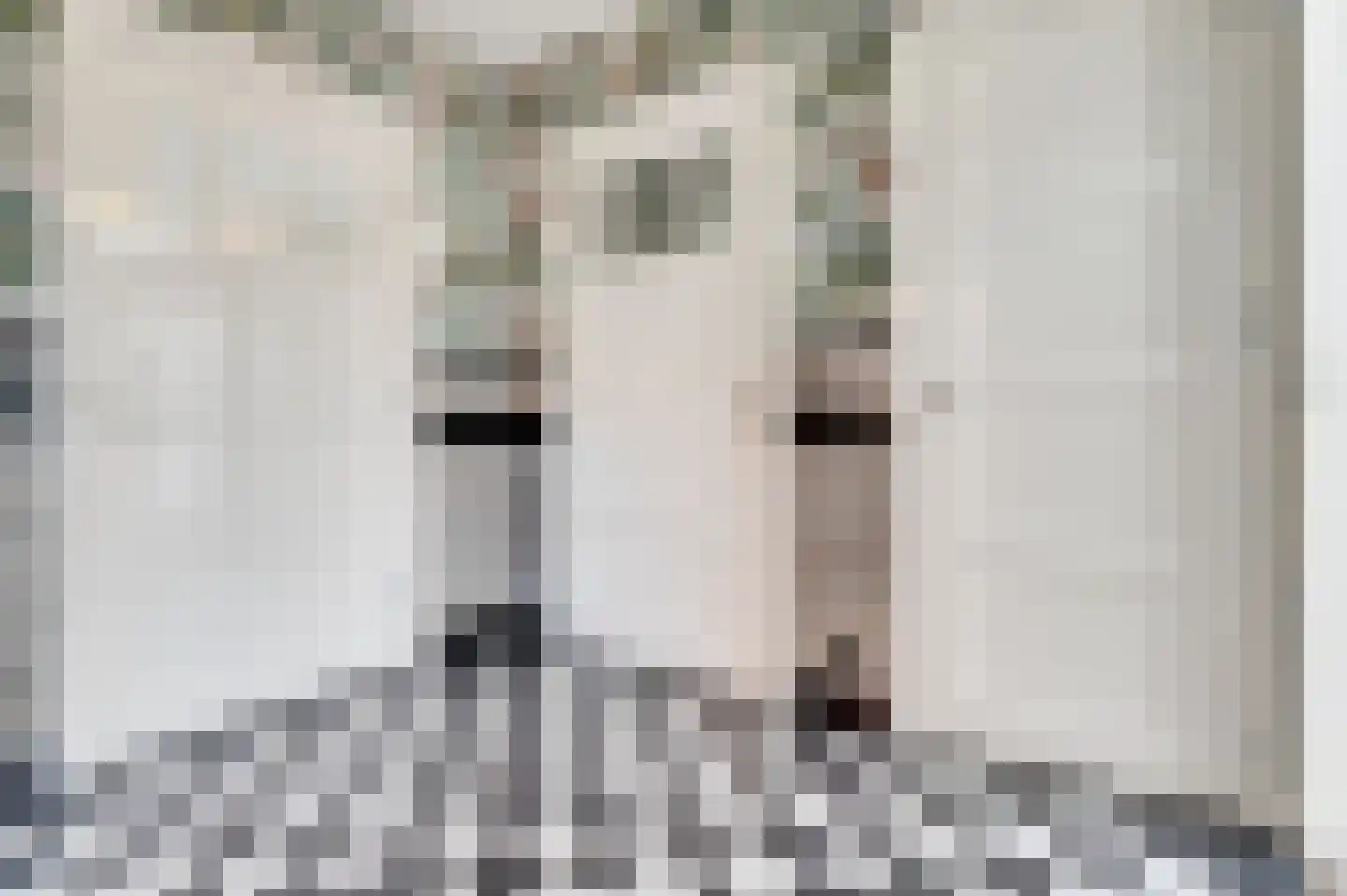 Laanweg 17 Oudkarspel thumbnail 21
