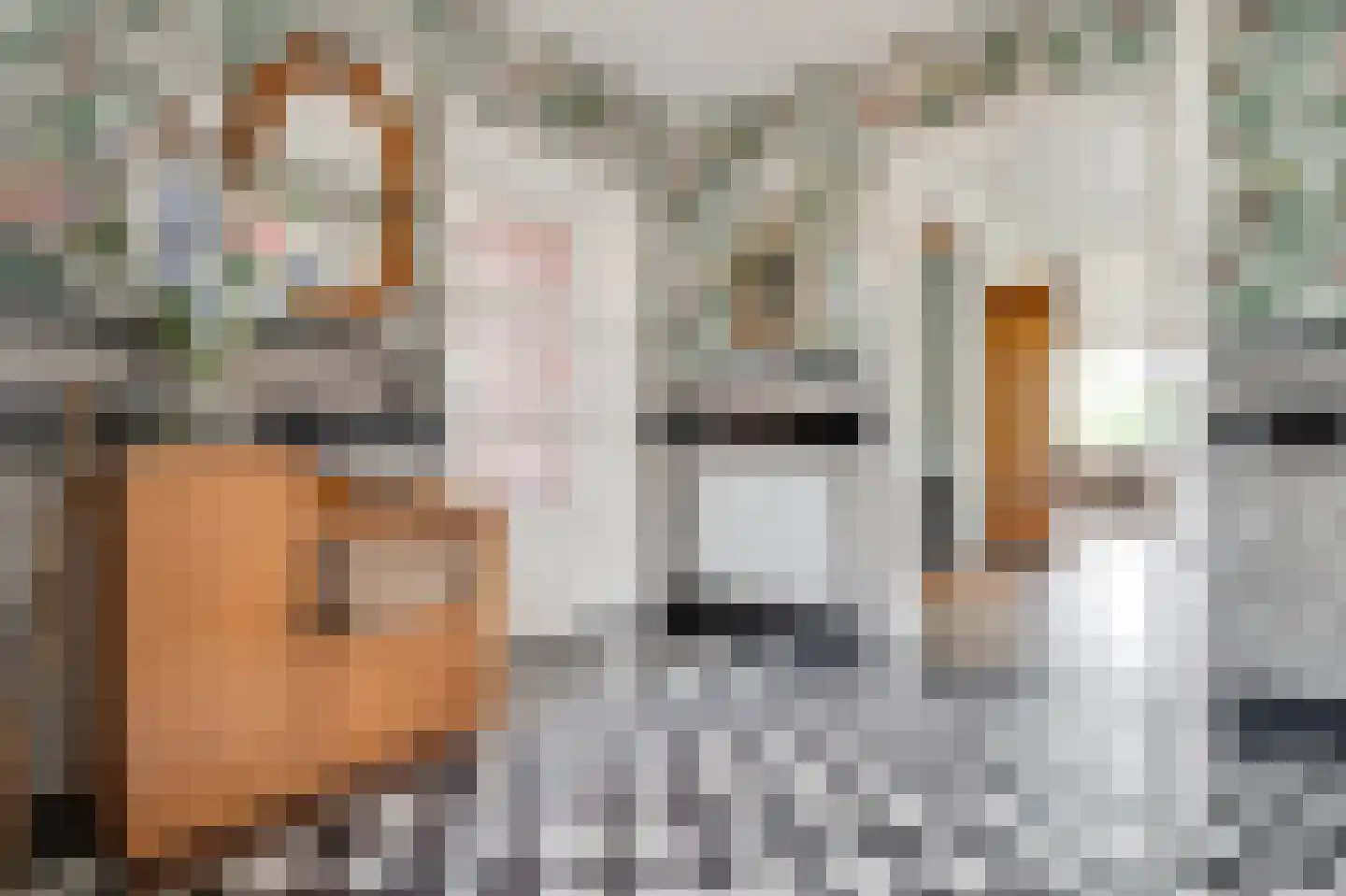 Laanweg 17 Oudkarspel thumbnail 23