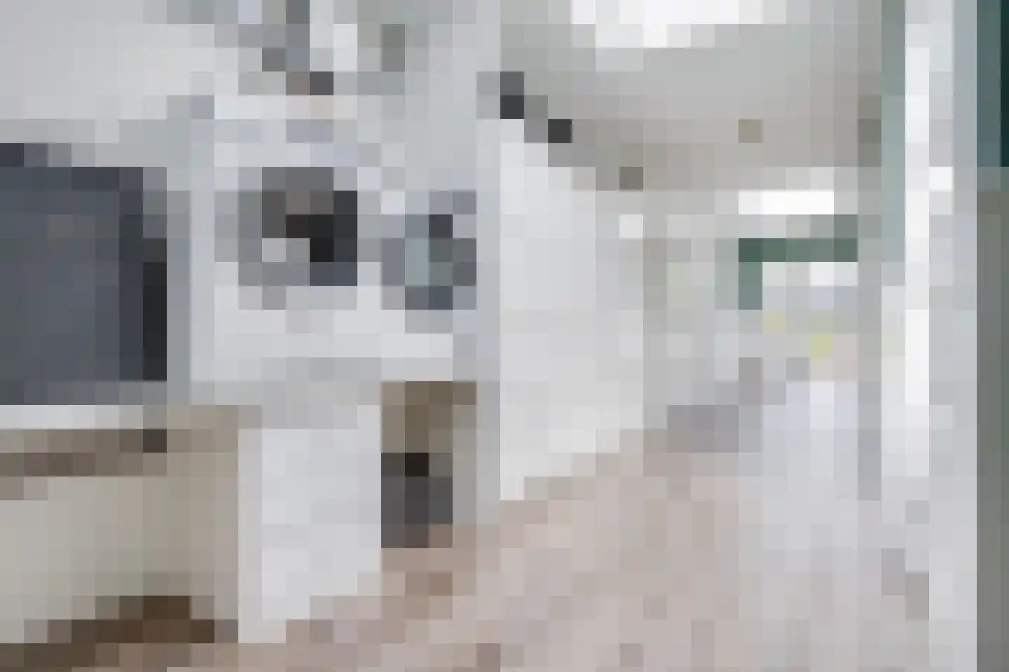 Laanweg 17 Oudkarspel thumbnail 25