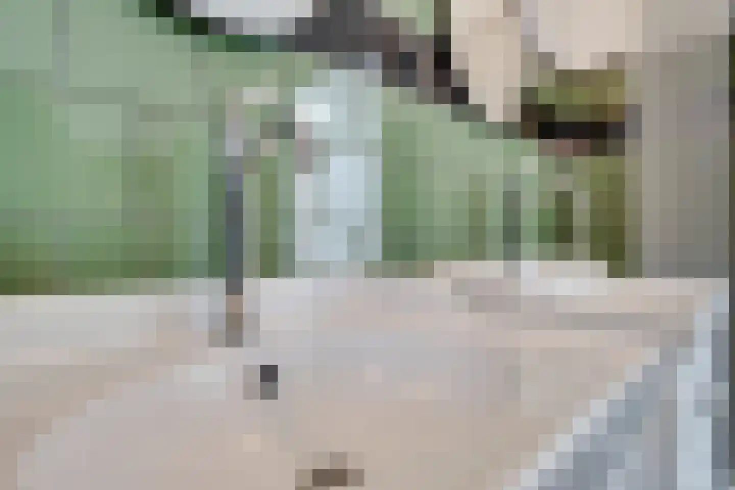 Laanweg 17 Oudkarspel thumbnail 29