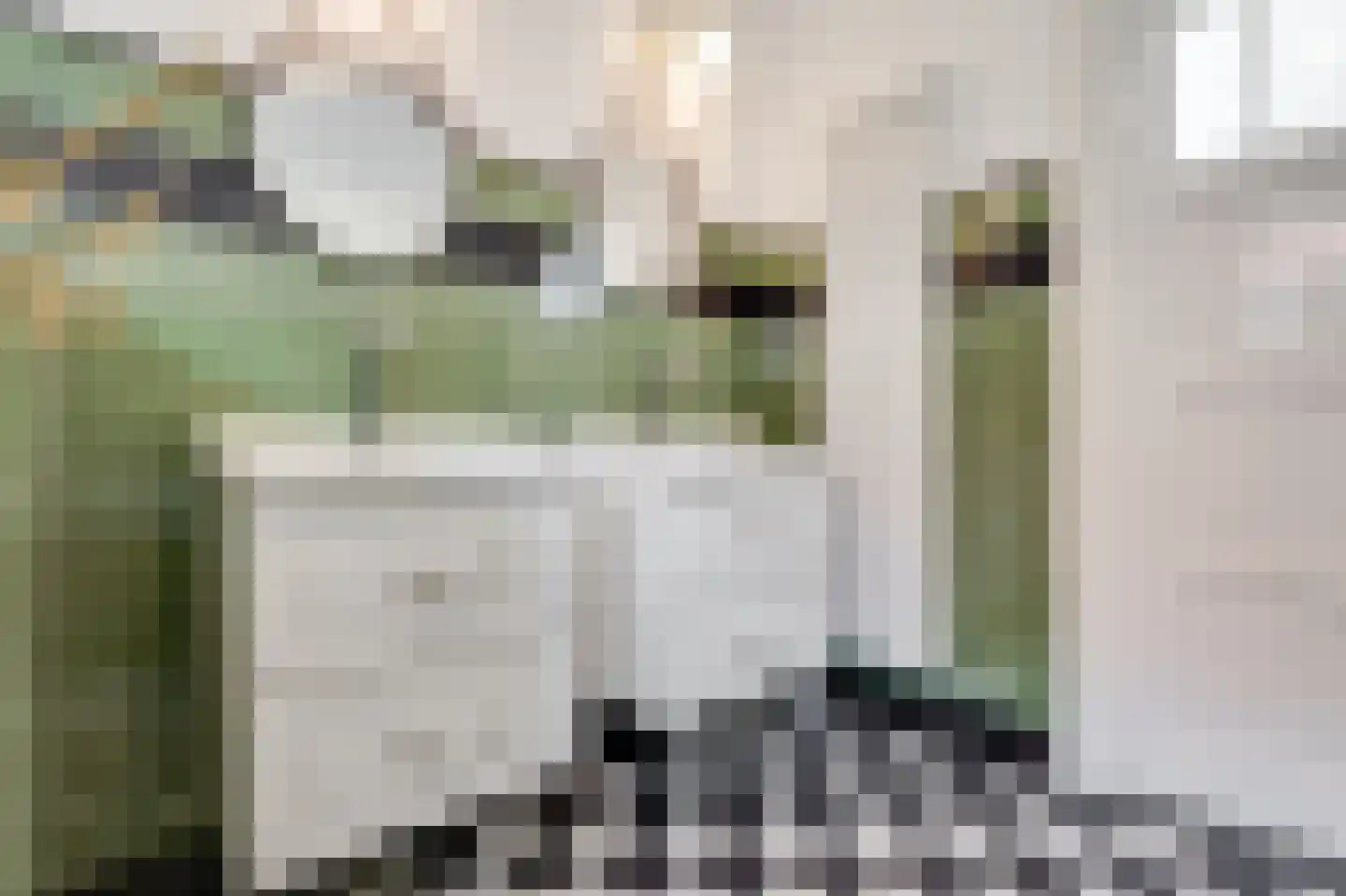 Laanweg 17 Oudkarspel thumbnail 33