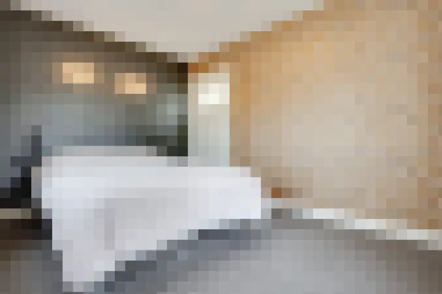 Laanweg 17 Oudkarspel thumbnail 35